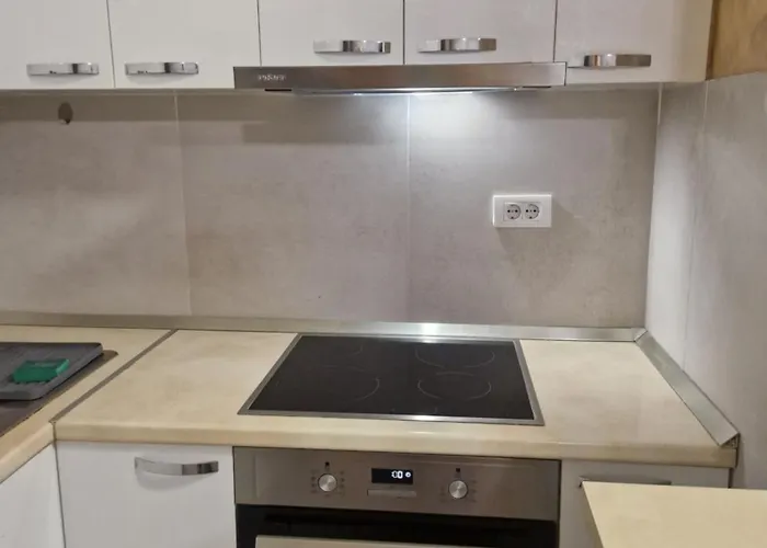 Oskar Dunav 公寓 *